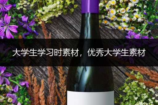 大学生学习时素材，优秀大学生素材