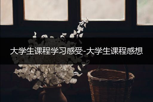 大学生课程学习感受-大学生课程感想
