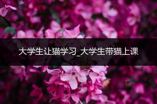 大学生让猫学习_大学生带猫上课