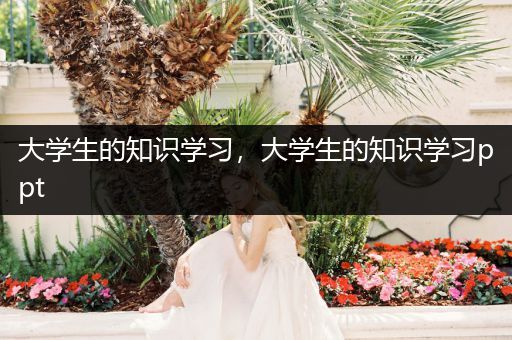 大学生的知识学习，大学生的知识学习ppt