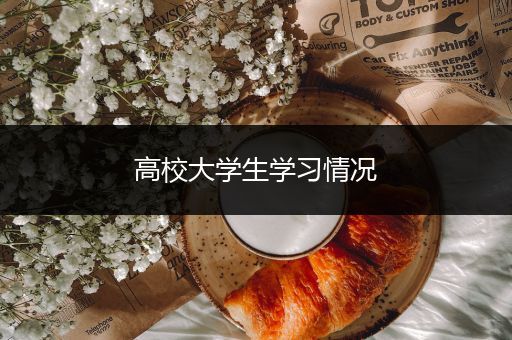 高校大学生学习情况