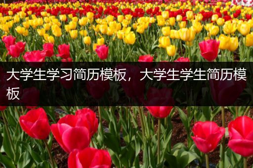 大学生学习简历模板，大学生学生简历模板