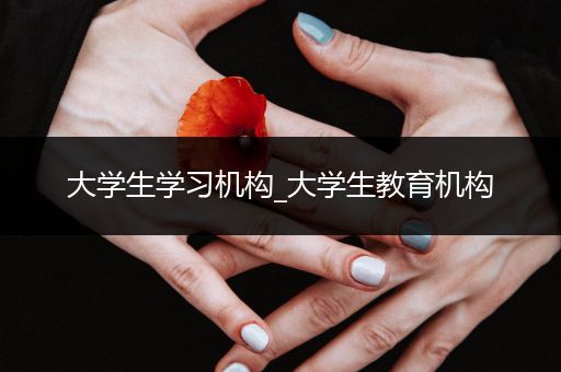 大学生学习机构_大学生教育机构
