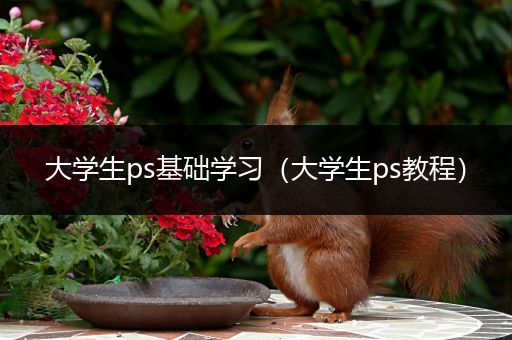 大学生ps基础学习（大学生ps教程）