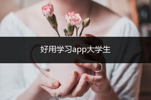 好用学习app大学生