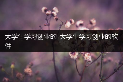 大学生学习创业的-大学生学习创业的软件
