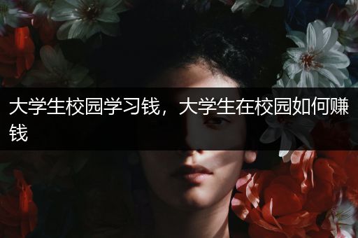 大学生校园学习钱，大学生在校园如何赚钱