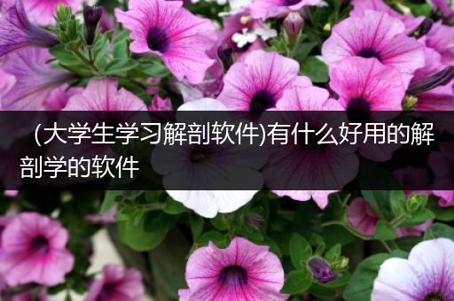 （大学生学习解剖软件)有什么好用的解剖学的软件