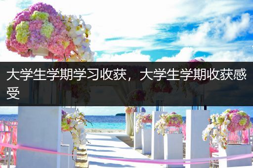 大学生学期学习收获，大学生学期收获感受