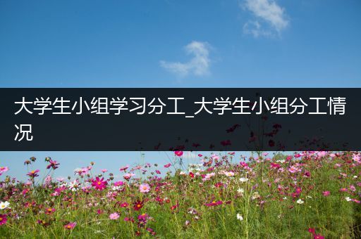大学生小组学习分工_大学生小组分工情况