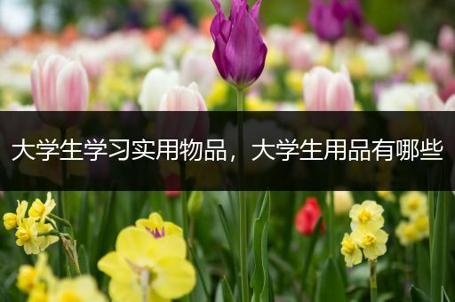 大学生学习实用物品，大学生用品有哪些