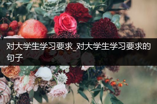 对大学生学习要求_对大学生学习要求的句子