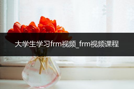 大学生学习frm视频_frm视频课程