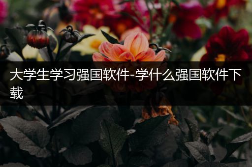 大学生学习强国软件-学什么强国软件下载
