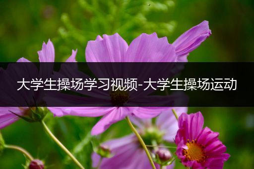 大学生操场学习视频-大学生操场运动