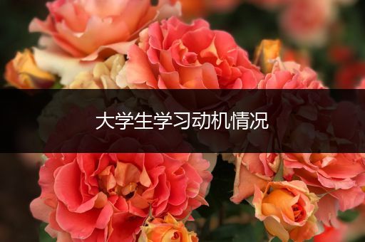 大学生学习动机情况