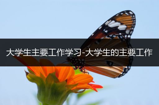 大学生主要工作学习-大学生的主要工作