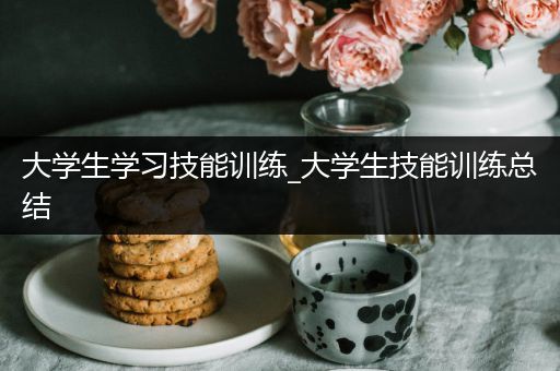 大学生学习技能训练_大学生技能训练总结