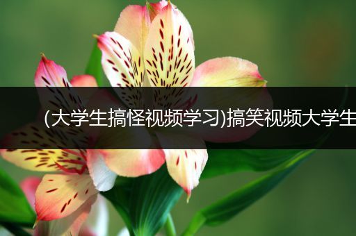 （大学生搞怪视频学习)搞笑视频大学生