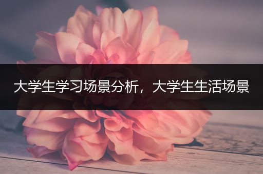 大学生学习场景分析，大学生生活场景
