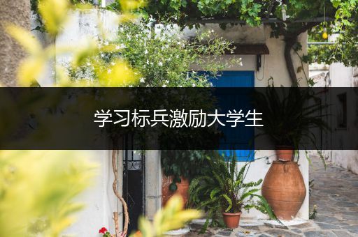 学习标兵激励大学生