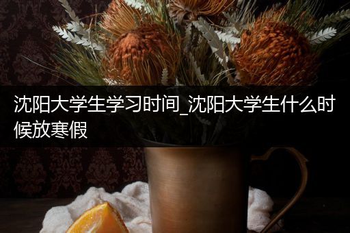 沈阳大学生学习时间_沈阳大学生什么时候放寒假