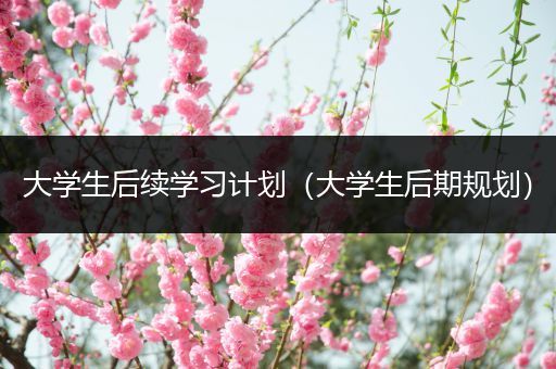 大学生后续学习计划（大学生后期规划）