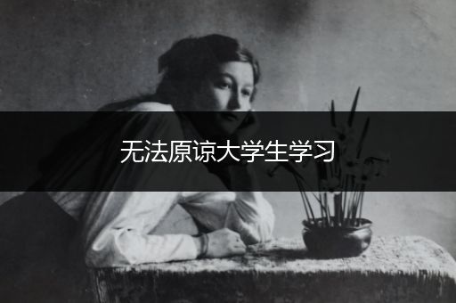 无法原谅大学生学习