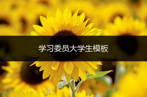 学习委员大学生模板