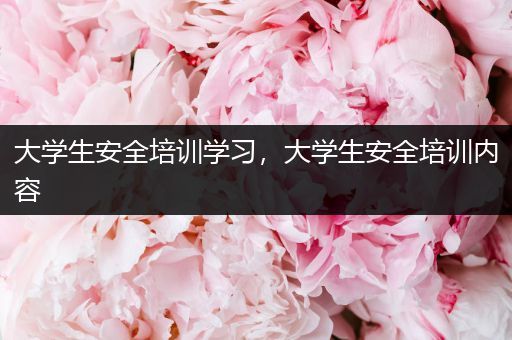 大学生安全培训学习，大学生安全培训内容