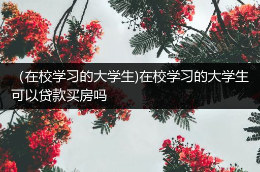 （在校学习的大学生)在校学习的大学生可以贷款买房吗