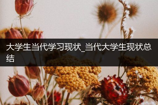 大学生当代学习现状_当代大学生现状总结