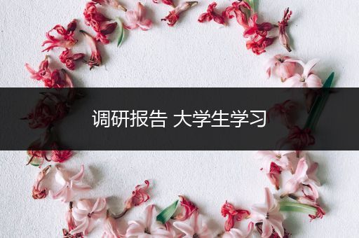 调研报告 大学生学习