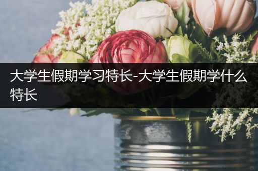大学生假期学习特长-大学生假期学什么特长