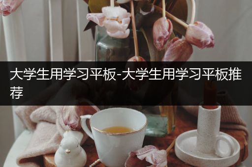 大学生用学习平板-大学生用学习平板推荐