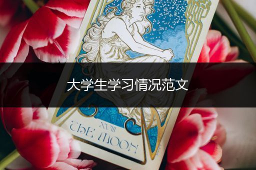 大学生学习情况范文