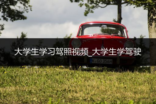 大学生学习驾照视频_大学生学驾驶