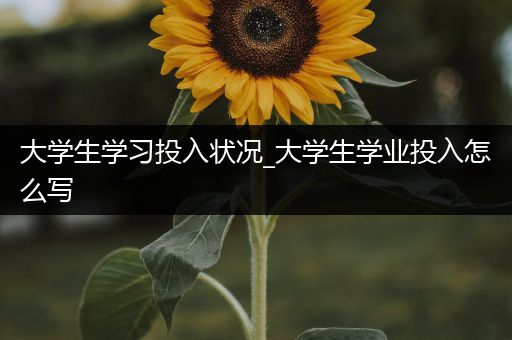 大学生学习投入状况_大学生学业投入怎么写