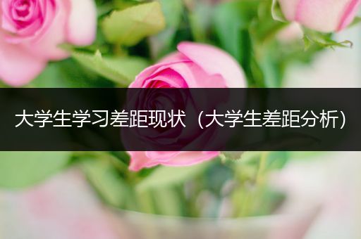大学生学习差距现状（大学生差距分析）
