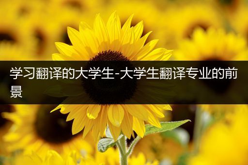 学习翻译的大学生-大学生翻译专业的前景