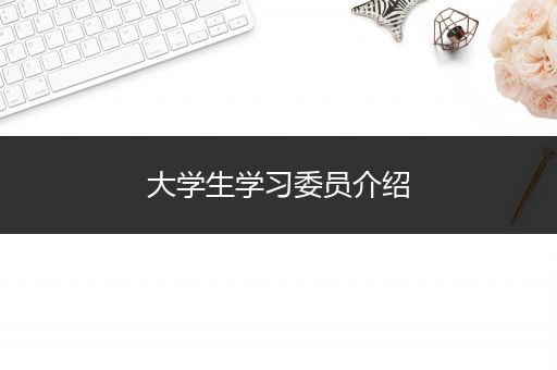 大学生学习委员介绍