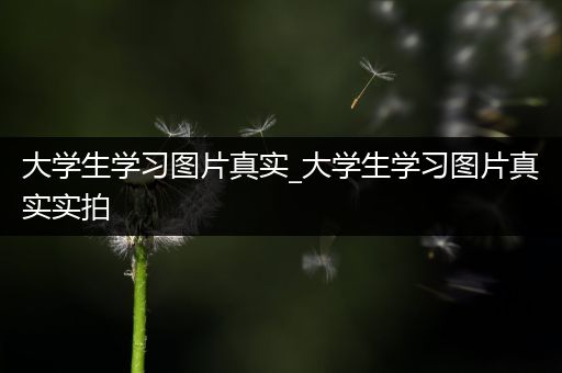 大学生学习图片真实_大学生学习图片真实实拍