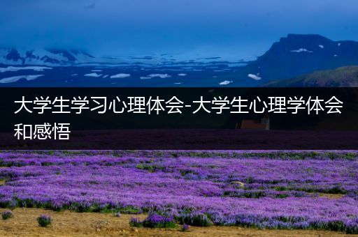 大学生学习心理体会-大学生心理学体会和感悟