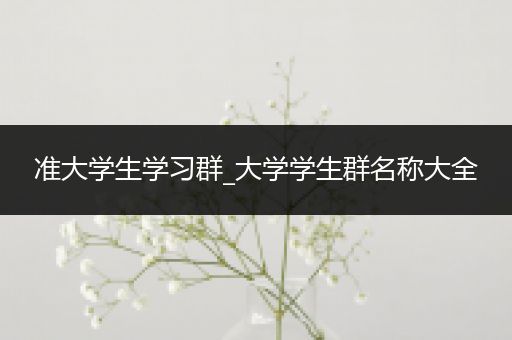 准大学生学习群_大学学生群名称大全