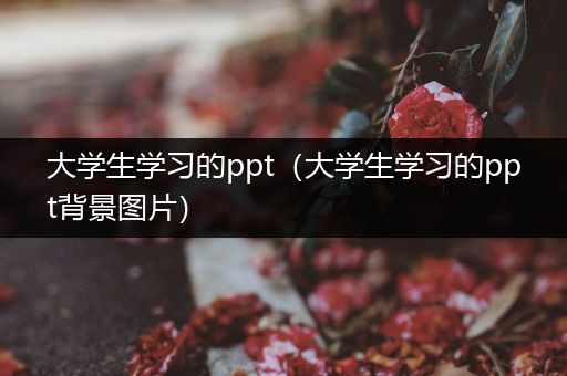 大学生学习的ppt（大学生学习的ppt背景图片）