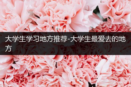 大学生学习地方推荐-大学生最爱去的地方