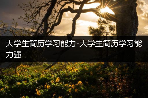 大学生简历学习能力-大学生简历学习能力强