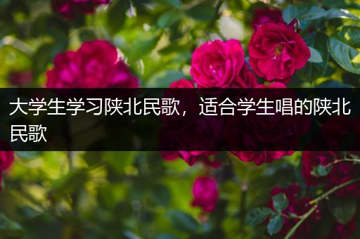 大学生学习陕北民歌，适合学生唱的陕北民歌