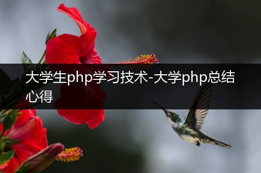 大学生php学习技术-大学php总结心得