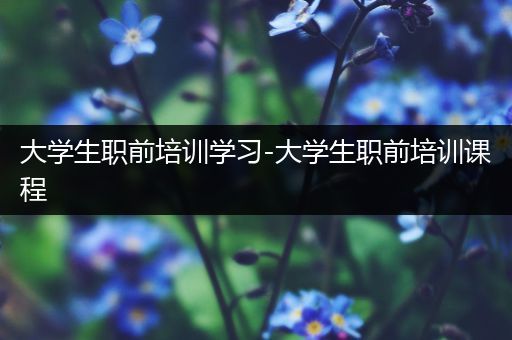 大学生职前培训学习-大学生职前培训课程